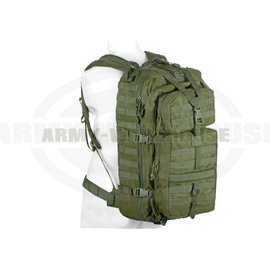 Mod 3 Day Backpack - OD