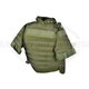 Interceptor Body Armor - OD