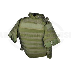 Interceptor Body Armor - OD