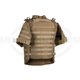 Interceptor Body Armor - coyote brown