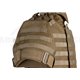 Interceptor Body Armor - coyote brown