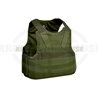 PECA Body Armor Vest - OD