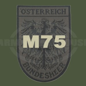 BH Feldanzug M75