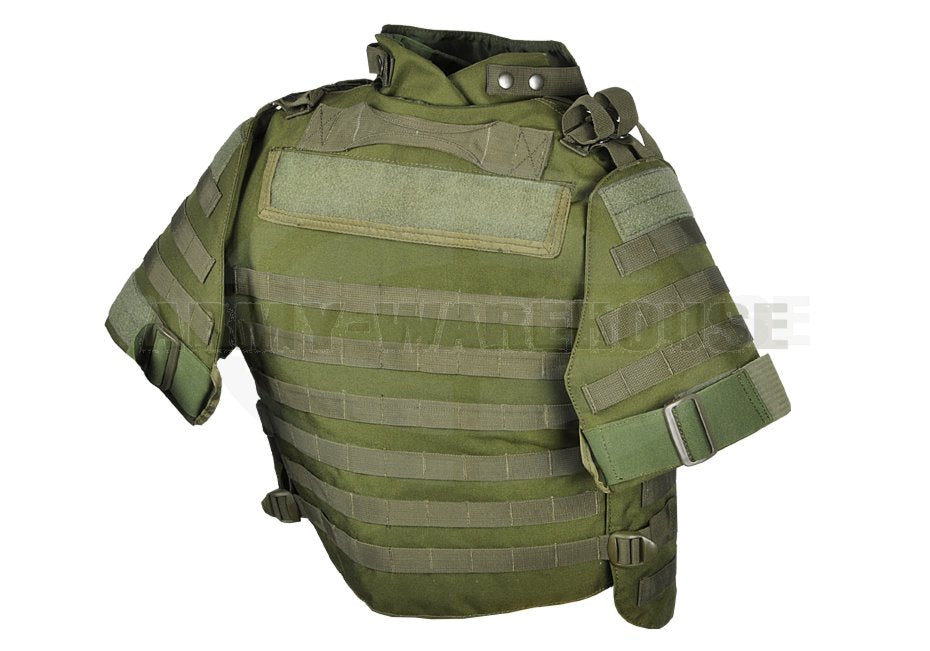 Interceptor Body Armor - OD